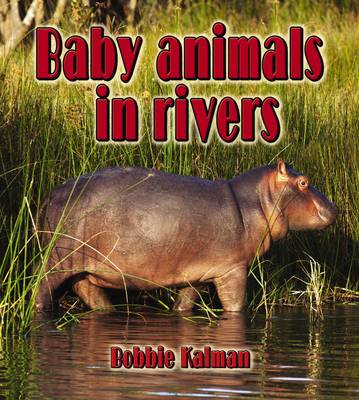 Book cover for Baby Animals in Rivers