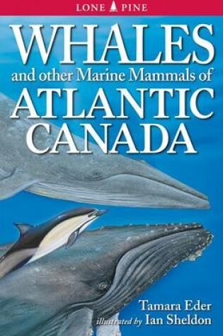 Cover of Whales and Other Marine Mammals of the East Coast