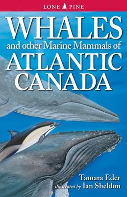 Book cover for Whales and Other Marine Mammals of the East Coast