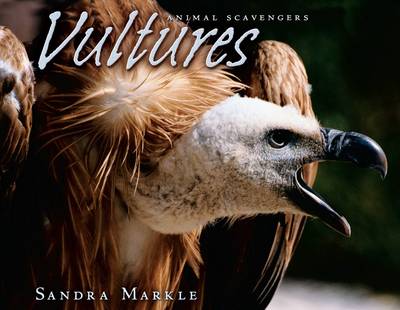 Book cover for Vultures