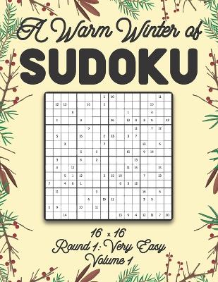 Book cover for A Warm Winter of Sudoku 16 x 16 Round 1