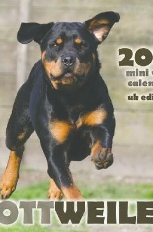 Cover of Rottweiler 2019 Mini Wall Calendar (UK Edition)
