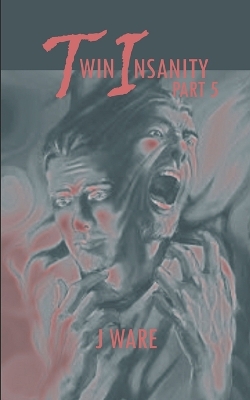 Book cover for TwinInsanity Part 5