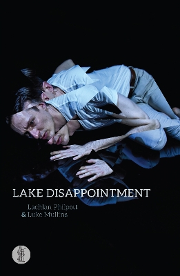 Book cover for Lake Disappointment