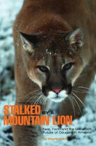 Cover of Stalked by a Mountain Lion