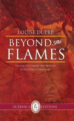 Book cover for Beyond The Flames Volume 19