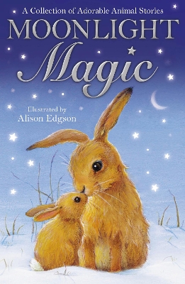 Book cover for Moonlight Magic