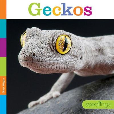 Book cover for Seedlings: Geckos