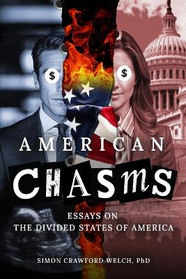 Book cover for American Chasms