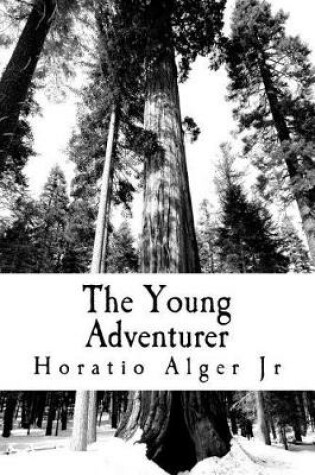 Cover of The Young Adventurer