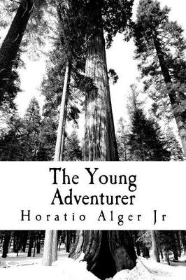 Book cover for The Young Adventurer