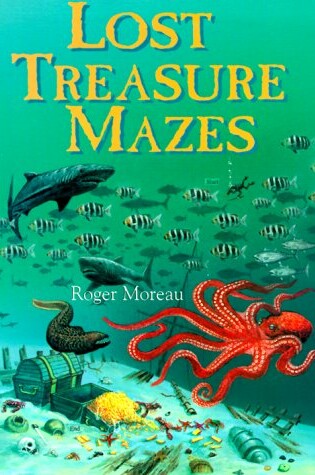 Cover of Lost Treasure Mazes