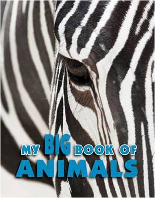 Book cover for Animal Encyclopedia