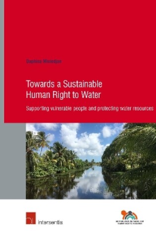 Cover of Towards a Sustainable Human Right to Water