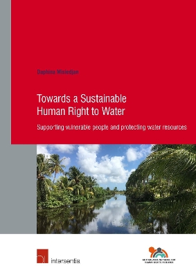 Cover of Towards a Sustainable Human Right to Water
