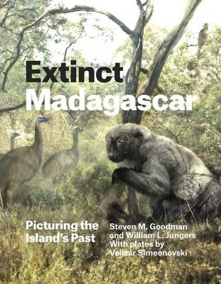 Book cover for Extinct Madagascar