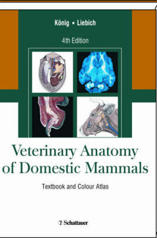 Cover of Veterinary Anatomy of Domestic Mammals