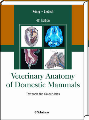 Book cover for Veterinary Anatomy of Domestic Mammals