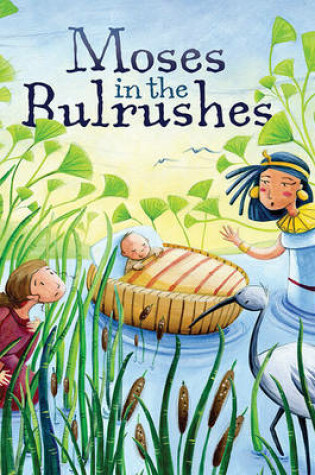 Cover of My First Bible Stories (Old Testament): Moses in the Bulrushes
