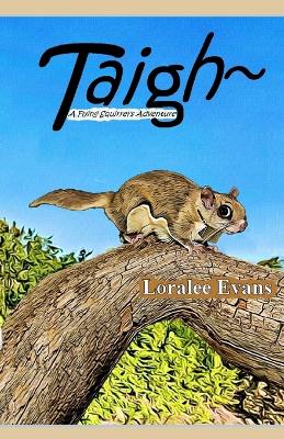 Book cover for Taigh A Flying Squirrel's Adventure