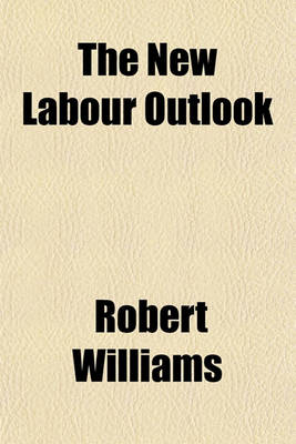 Book cover for The New Labour Outlook