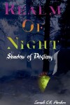 Book cover for Shadow of Destiny