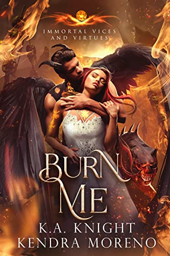 Book cover for Burn Me
