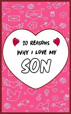 Book cover for 20 Reasons Why I Love My Son