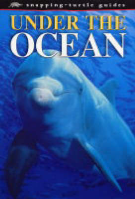 Book cover for Under the Ocean