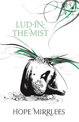 Book cover for Lud-In-The-Mist