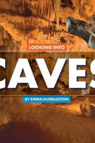 Cover of Looking Into Caves