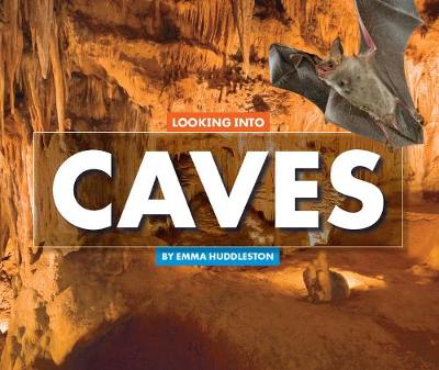 Cover of Looking Into Caves