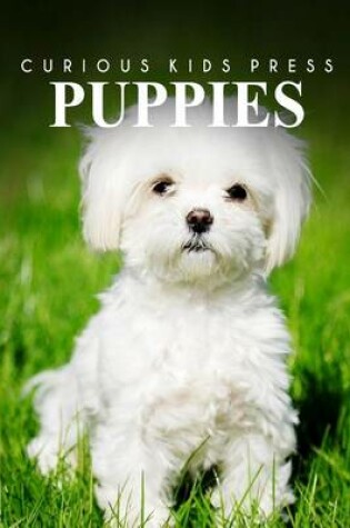 Cover of Puppies - Curious Kids Press
