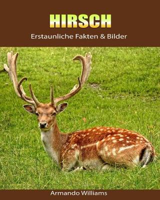 Book cover for Hirsch