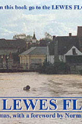 Cover of The Lewes Flood