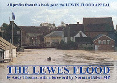 Book cover for The Lewes Flood