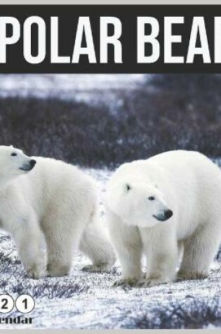Cover of Polar bear 2021 Wall Calendar