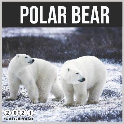 Book cover for Polar bear 2021 Wall Calendar