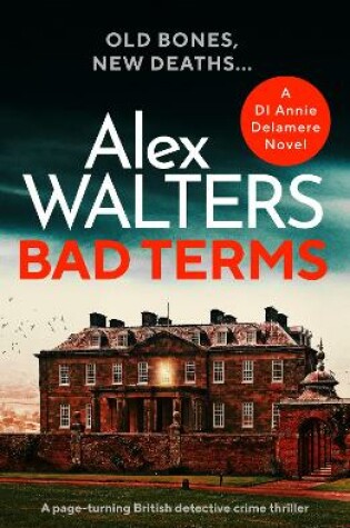 Cover of Bad Terms