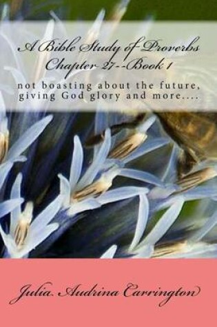Cover of A Bible Study of Proverbs Chapter 27--Book 1