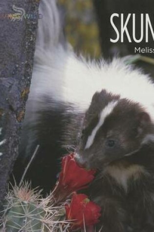 Cover of Skunks