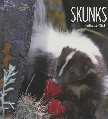 Book cover for Skunks