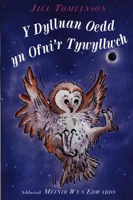 Book cover for Dylluan oedd yn Ofni'r Tywyllwch, Y