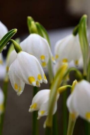 Cover of Beautiful Snowflake Leucojum Vernum Flowers in a Spring Garden Journal