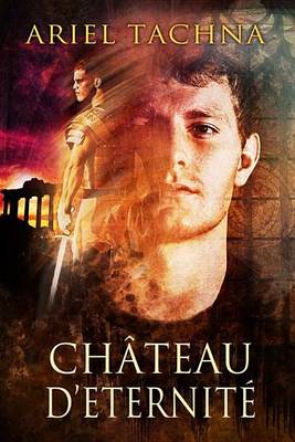 Book cover for Chateau D'Eternite