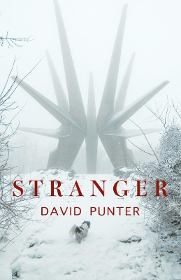 Book cover for Stranger