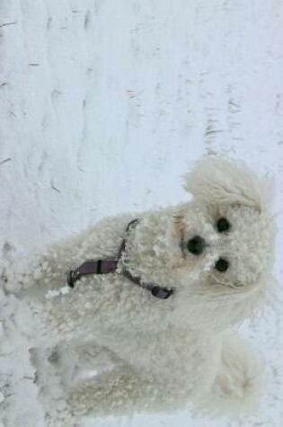 Cover of Bichon Frise Dog Standing in the Snow Journal