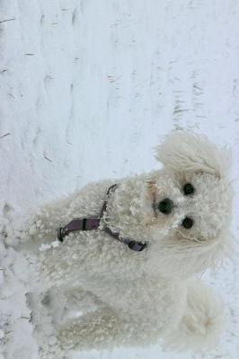 Book cover for Bichon Frise Dog Standing in the Snow Journal