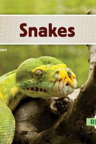 Cover of Snakes