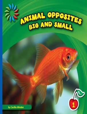 Book cover for Big and Small